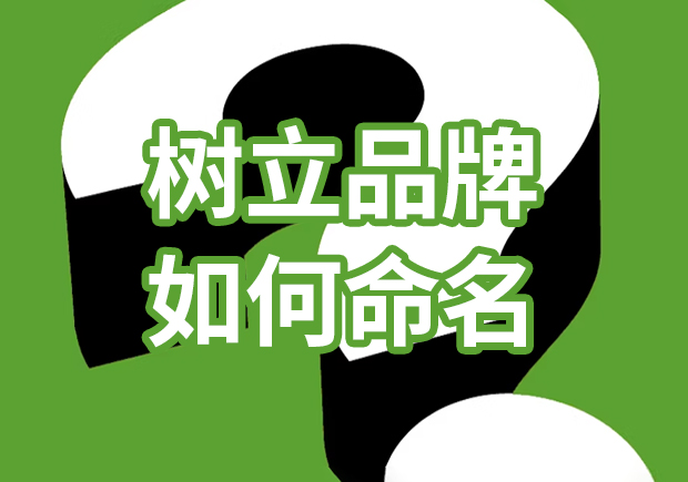 品牌獨角獸：樹立品牌如何命名，引爆市場熱潮