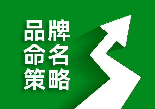 品牌命名的策略是什么，核心原則是這六點！