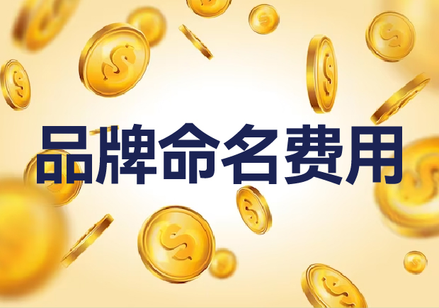 國(guó)內(nèi)外品牌命名費(fèi)用是多少？