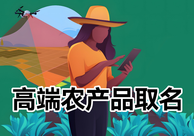 高端農(nóng)產(chǎn)品品牌取名大全，高端農(nóng)產(chǎn)品品牌名稱怎么?。?></div>
                                                </a>
                                                                                            <a href=